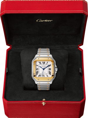 Santos de Cartier watch - Image 6