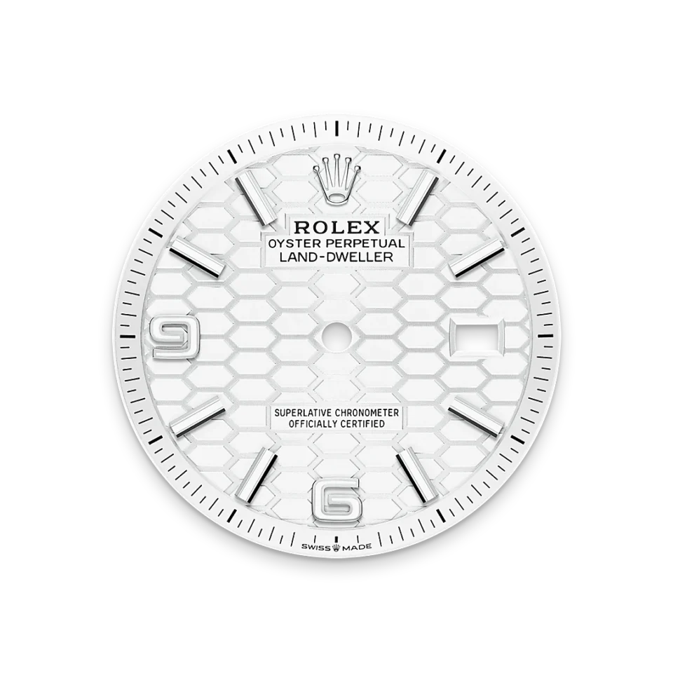 Rolex Land-Dweller 36 Valkoinen Rolesor – Oystersteel-terästä ja valkokultaa, M127234-0001, 5 - Lindroos