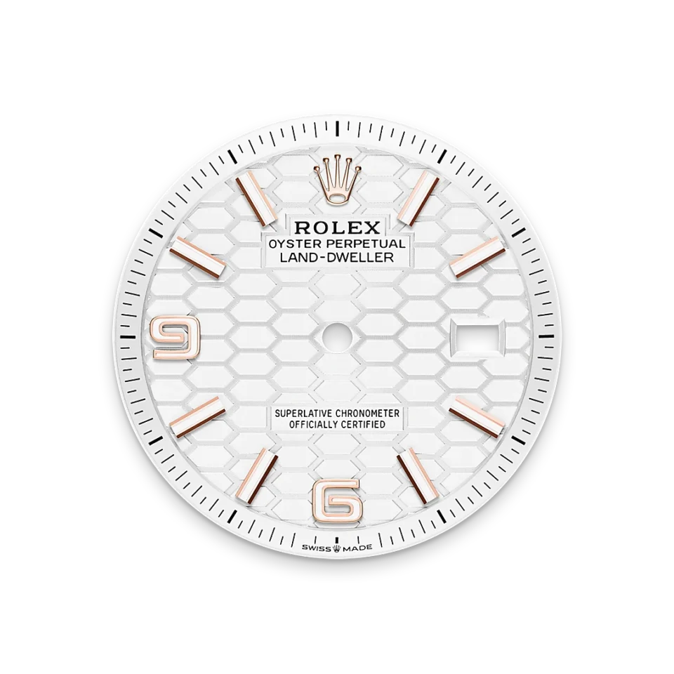 Rolex Land-Dweller 36 18k Everose-kulta, M127235-0001, 5 - Lindroos