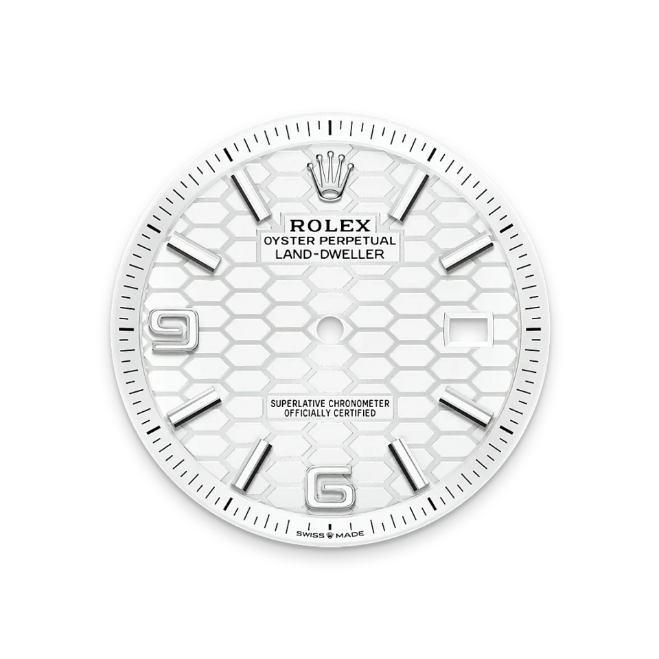 Rolex Land-Dweller 40 Valkoinen Rolesor – Oystersteel-terästä ja valkokultaa, M127334-0001, 5 - Lindroos