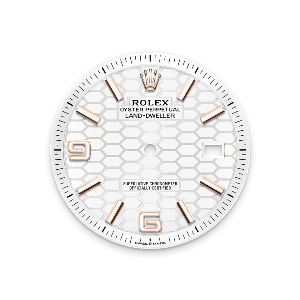 Rolex Land-Dweller 40 18k Everose-kulta, M127335-0001, 5 - Lindroos